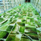 Image of Flying Carpet